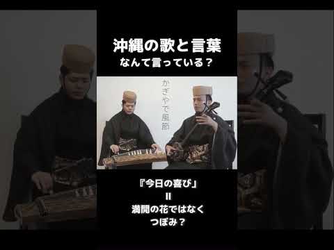 武道学科 かぎやで風｜歌詞の本当の意味知ってる？｜ #shorts