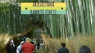 preview picture of video 'Japan Trip [ep.8 part1] Arashiyama e Bamboo Forest'