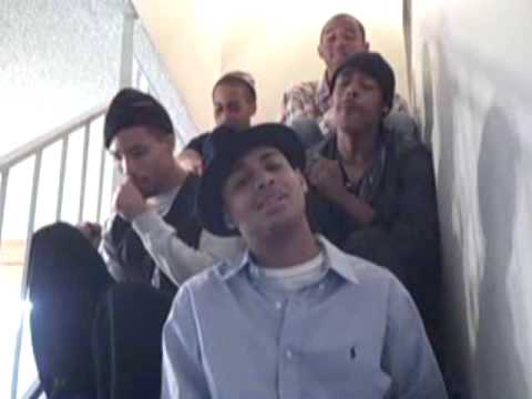 Bruthas 'Wildflower'