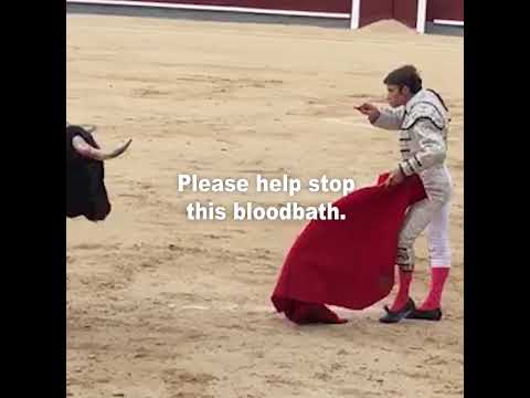 , title : 'Shocking Video Shows What Bullfighting Really Looks Like'