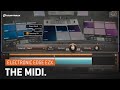 Video 2: Electronic Edge EZX – The MIDI