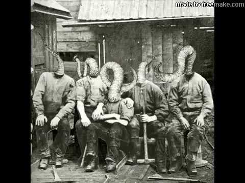 Pandemie ? besser  Sockosophie