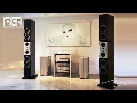 Audiophile Choice and Hi Res Audio Collection - Natural Beat Records