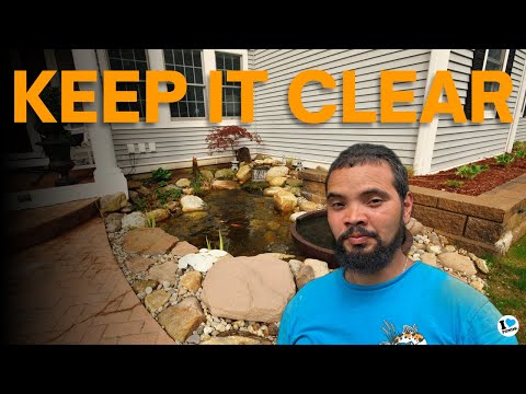 WHY YOUR OLD SKIMMER SUCKS... | Pond Maintenance Tips