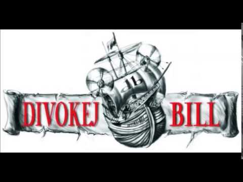 Divokej Bill - Švec