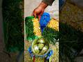 Efficient Feed Pellet Machine For All Your Livestock Needs PigFarming FarmTools