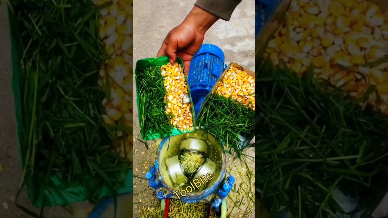 Efficient Feed Pellet Machine for All Your Livestock Needs #PigFarming #FarmTools