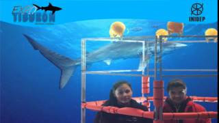 DIA 2 Expo Tiburon216