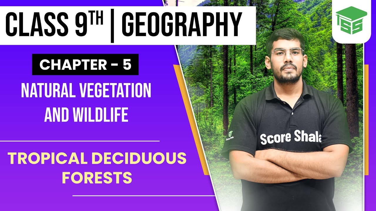 Tropical Deciduous Forests - Class 9 || Natural Vegetation and Wildlife || Geography Chapter 5