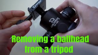 How to change tripod head type