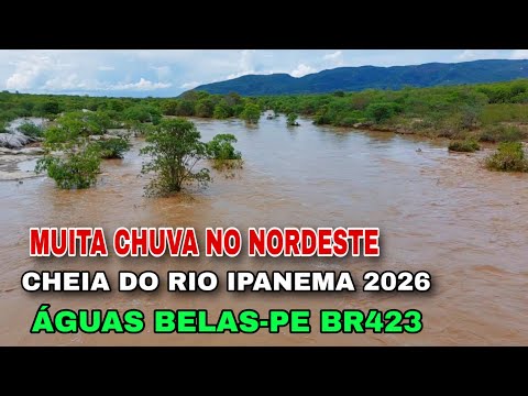 CHEIA DO RIO IPANEMA EM ÁGUAS BELAS-PE NA PONTE DA BR 423 MARÇO 2026 MUITA CHUVA NO NORDESTE