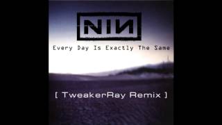 Nine Inch Nails - Every Day Is Exactly The Same (TweakerRay ReMix)