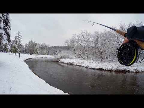 Bobber Down! Winter Steelhead Fishing
