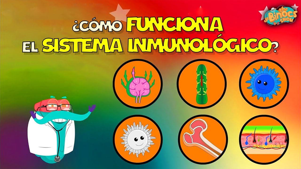 Cómo Funciona El Sistema Inmunológico? | Vídeos Educativos | Conocimientos Generales | #learn
