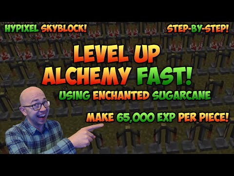 How to Level Alchemy Fast and Easy (Hypixel Skyblock Alchemy Leveling Guide)