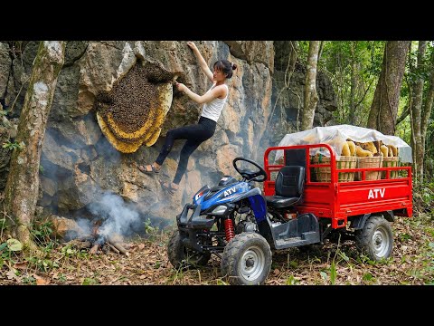 Harvesting Giant Beehives In The Forest And Transporting Them To The Market For Sale