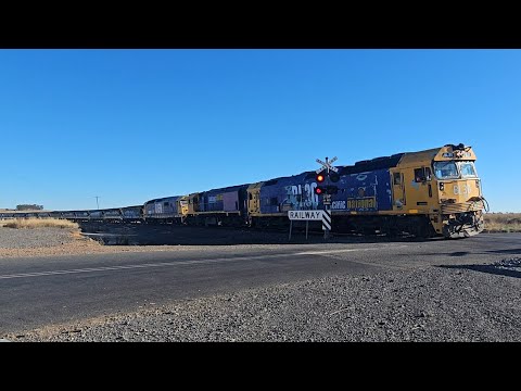 7733V/7937V PN down empty grainy (BL XR 81, 40H), Geelong to Speed, 1815/1850, 5/3/26, Ararat VIC