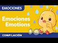Canta Y Aprende Sobre Las Emociones Con Canticos Canciones Infantiles En Inglés Y Español