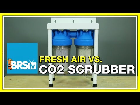 FAQ #40 Does fresh air have the same effect as a CO2 scrubber? | 52 FAQ