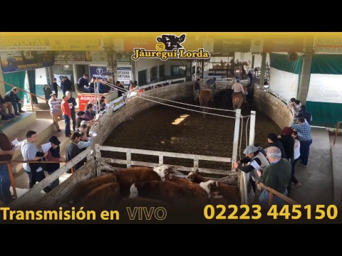 Cabaña El Respiro - Jauregui Lorda - Brandsen