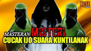 Download lagu cucak ijo isian kuntilanak mp3