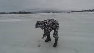 Ссылка