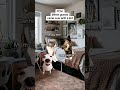 CAT MEMES When Guests Came Over With A Kid Catmemes Relatable Relationship