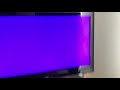 Opening To Neighbourhood Animals 2003 UK VHS Closing In The Description