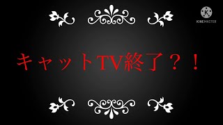 みんなー見て！