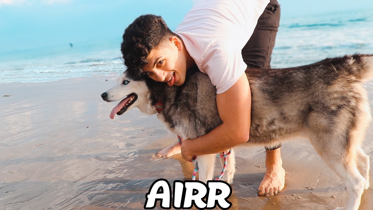 Airr - Enjoy Life (Music Video)