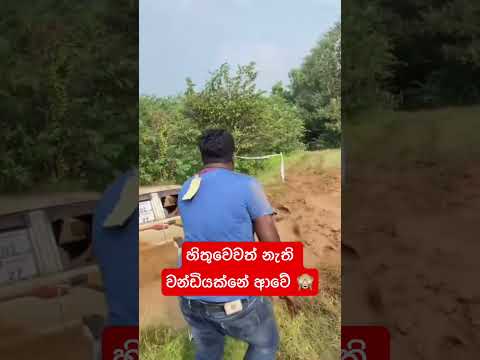 කොහොමද ඩ්‍රායිවින් 🫣🤓 #trending #flyp #offroad #flyp #fly #fyp #uae #dubai #mitsubishi #l200 #cab