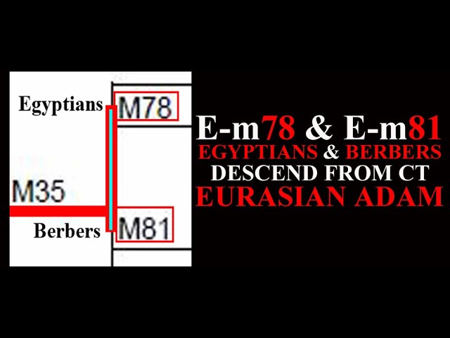 Ancient E-M78 Egyptians & E-M81 Berbers Descend From Eurasian Adam