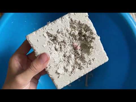 Миниатюра изображения товара Набор для опытов Bumbaram Набор для проведения раскопок. Чудесные сокровища / DIG-32