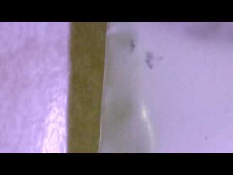 YouTube video about: Can you use ajax dish soap on cats?