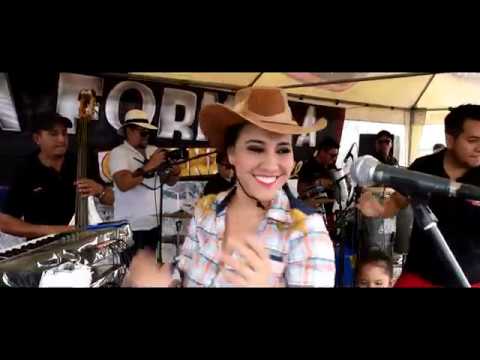 LOS GANADEROS EN VIVO 2017 - LA FORMULA ORIGINAL