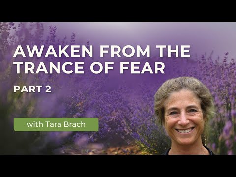 Transform Yourself and the World | Tara Brach on the Healing Power of Imagination (Part 2)