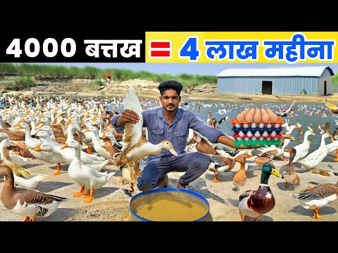 4000 बत्तखों से ₹4.2 लाख कमाई हर महीने🦆💰 | Batak Palan नें जिन्दगी बदल दी🔥