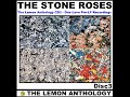 Stone Roses - Fools Gold (Original Recording/Alternative Mix)