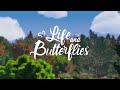 Life & Butterflies