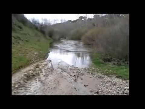 28/03/2013 Rio Adaja, Montejo de Arévalo