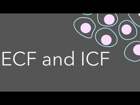 3. Intro to fluid compartments: ECF and ICF
