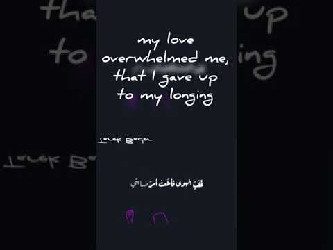 قلبي يحدثني . هاني عادل و حسن الشافعي مترجمه ٢