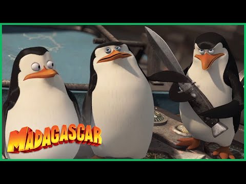 Capa de DreamWorks Madagascar | Pinguins Constroem o Avião | Madagascar: Escape 2 Africa Filme
