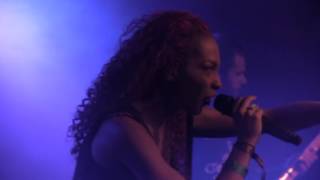 Psycho Las Vegas: Witch Mountain ("Psycho Animundi")