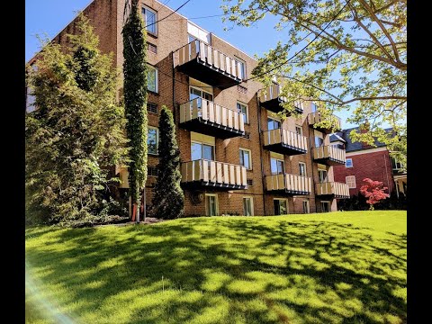 900 S. Negley - Video 2 of 2