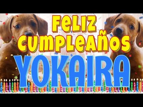 ¡Feliz Cumpleaños Yokaira! (Perros hablando gracioso) ¡Muchas Felicidades Yokaira!