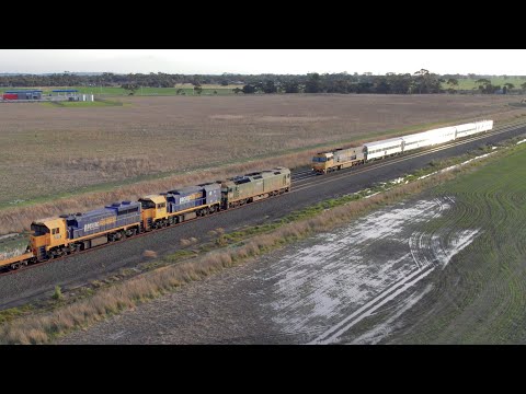 1AM8 The Overland Passenger Train Crosses Grain Train (21/8/2022) - PoathTV Australian Railways