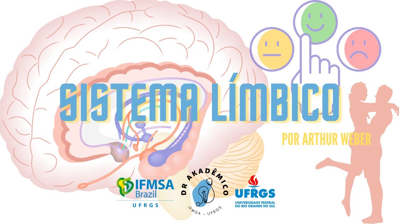 Sistema Límbico: Anatomia, Circuito e Psicologia - por Arthur Weber