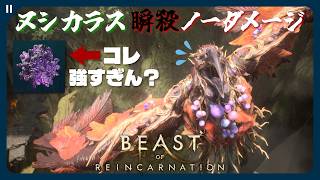 強すぎる霊秘石を装備して『ヌシ カラス』を瞬殺してみた【Beast of Reincarnation | ビーストオブリンカネーション | 難易度ハード・ノーダメージ】