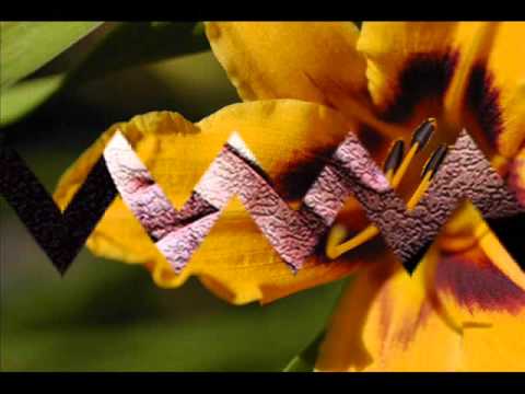 Jardim Da Inocência video